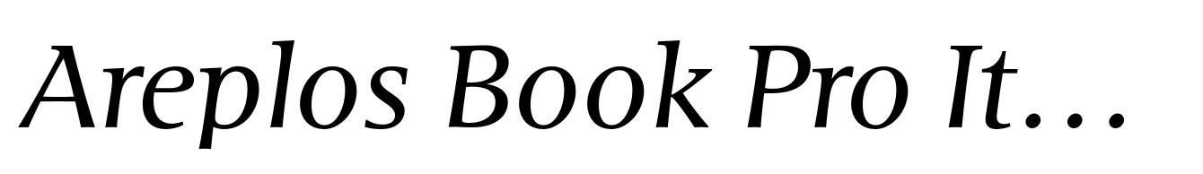 Areplos Book Pro Italic